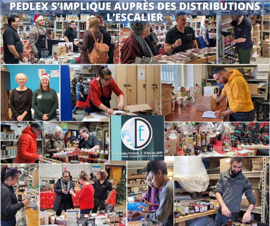 Pedlex-benevole-benevolat-Habitation-Distributions-lEscalier-insertion-sociale-aide-communautaire-2023 - Pedlex