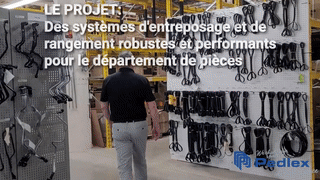Pedlex-optimise-lespace-pour-Globocam_projet - Pedlex